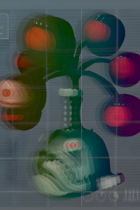 産み出すアッコルド