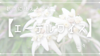 創作に使えそうな｢エーデルワイス｣色々