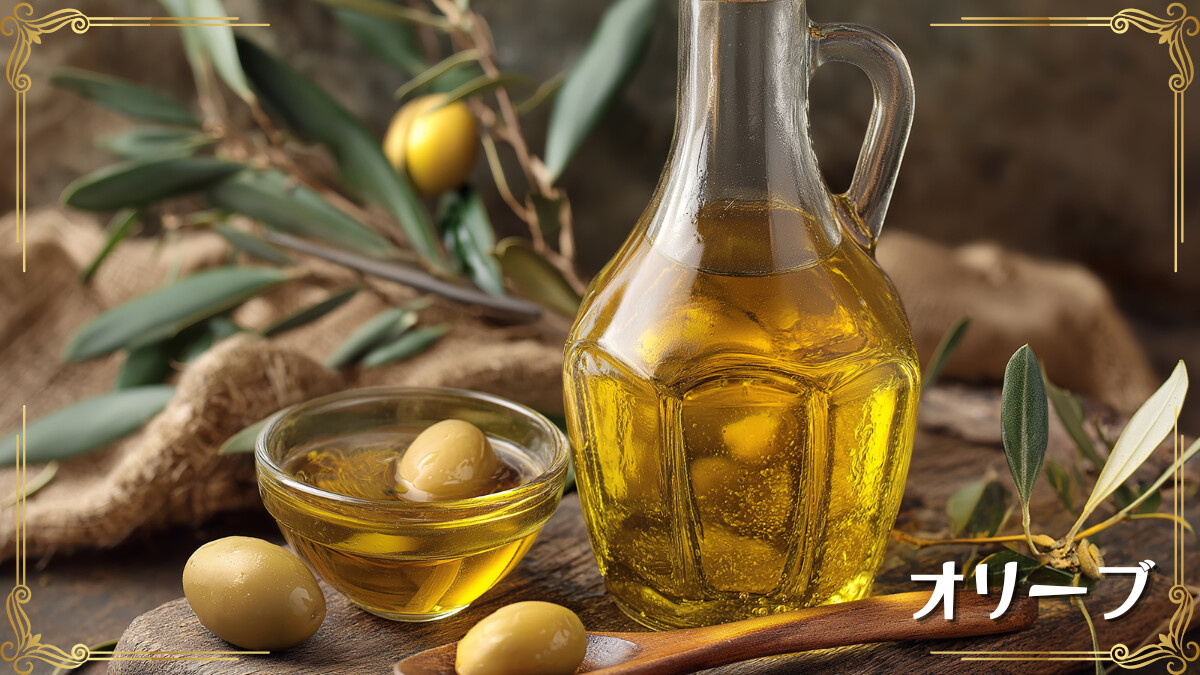 オリーブ