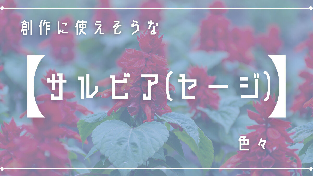 創作に使えそうな｢サルビア(セージ)｣の色々