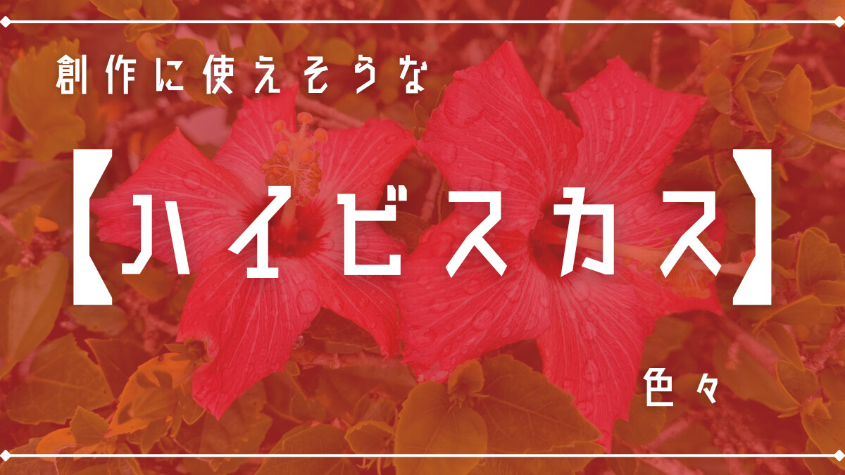 創作に使えそうな｢ハイビスカス｣の色々