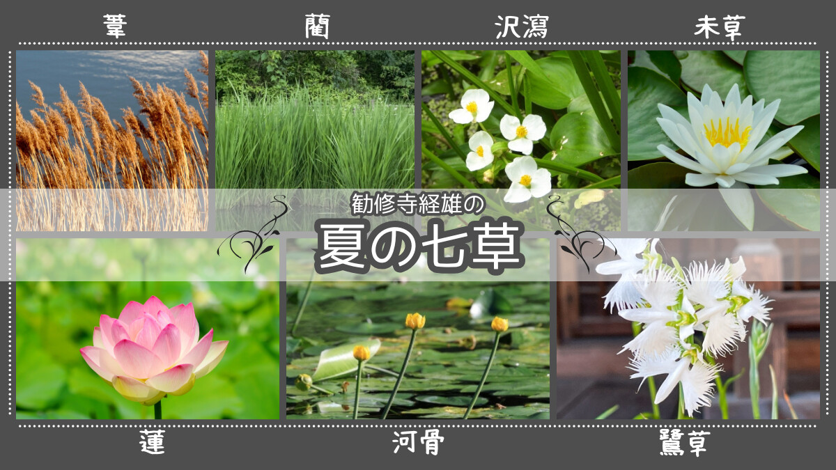 勧修寺経雄の｢夏の七草｣