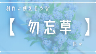 勿忘草