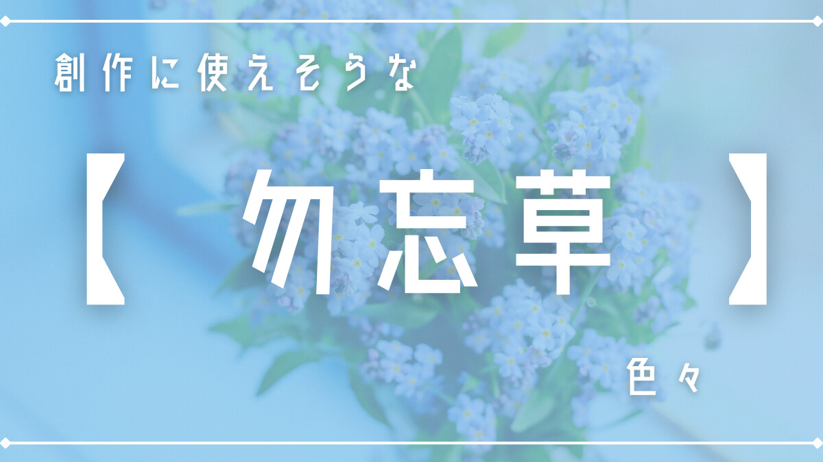 勿忘草