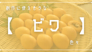 創作に使えそうな｢ビワ｣色々