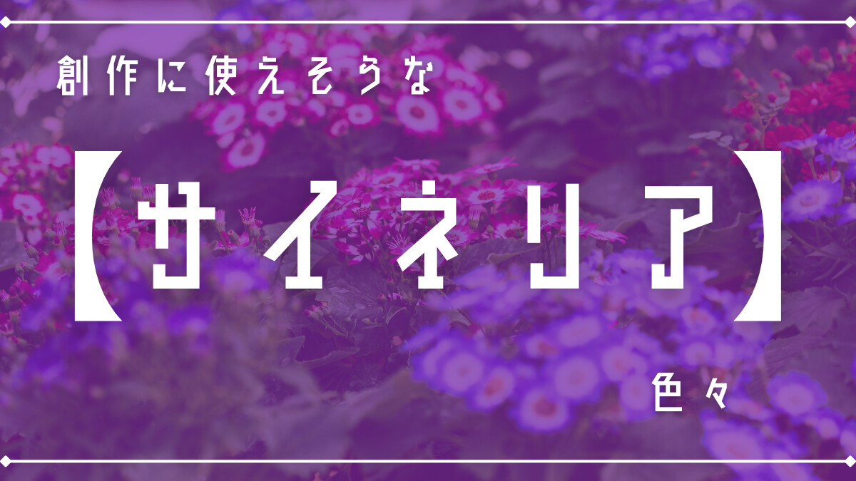 創作に使えそうな｢サイネリア(シネラリア)｣の色々