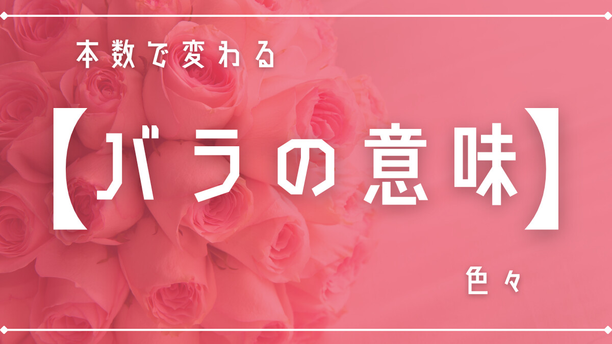 本数で変わる｢バラの意味｣の色々