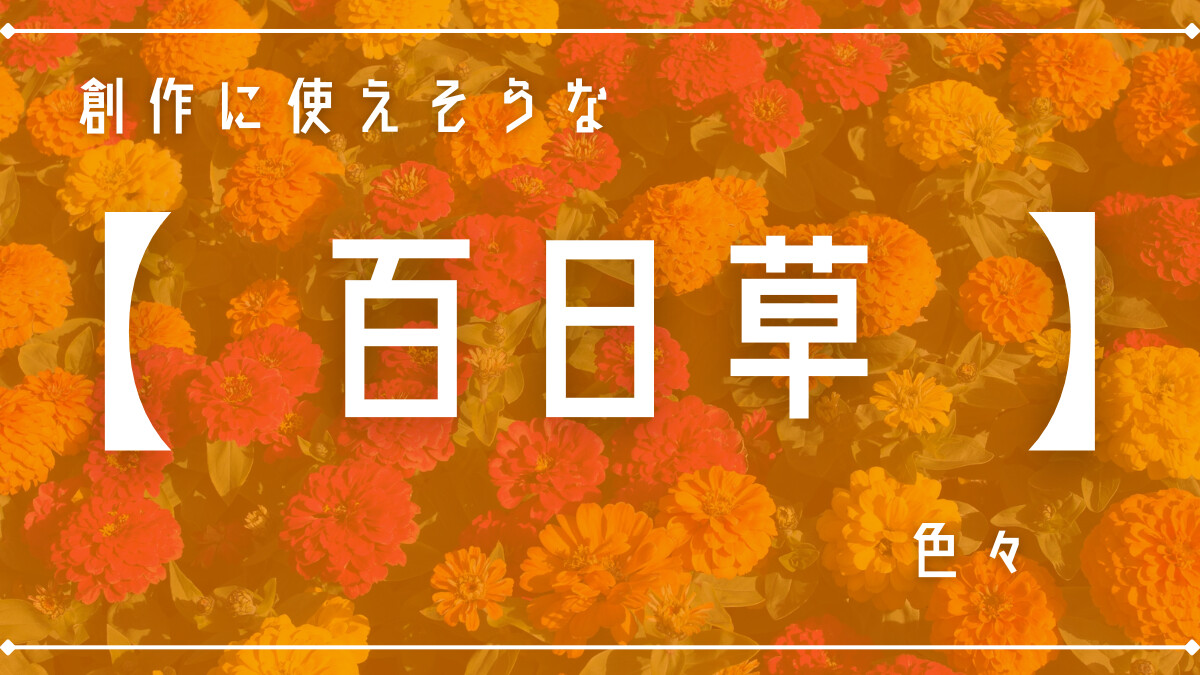 創作に使えそうな｢百日草(ジニア)｣の色々